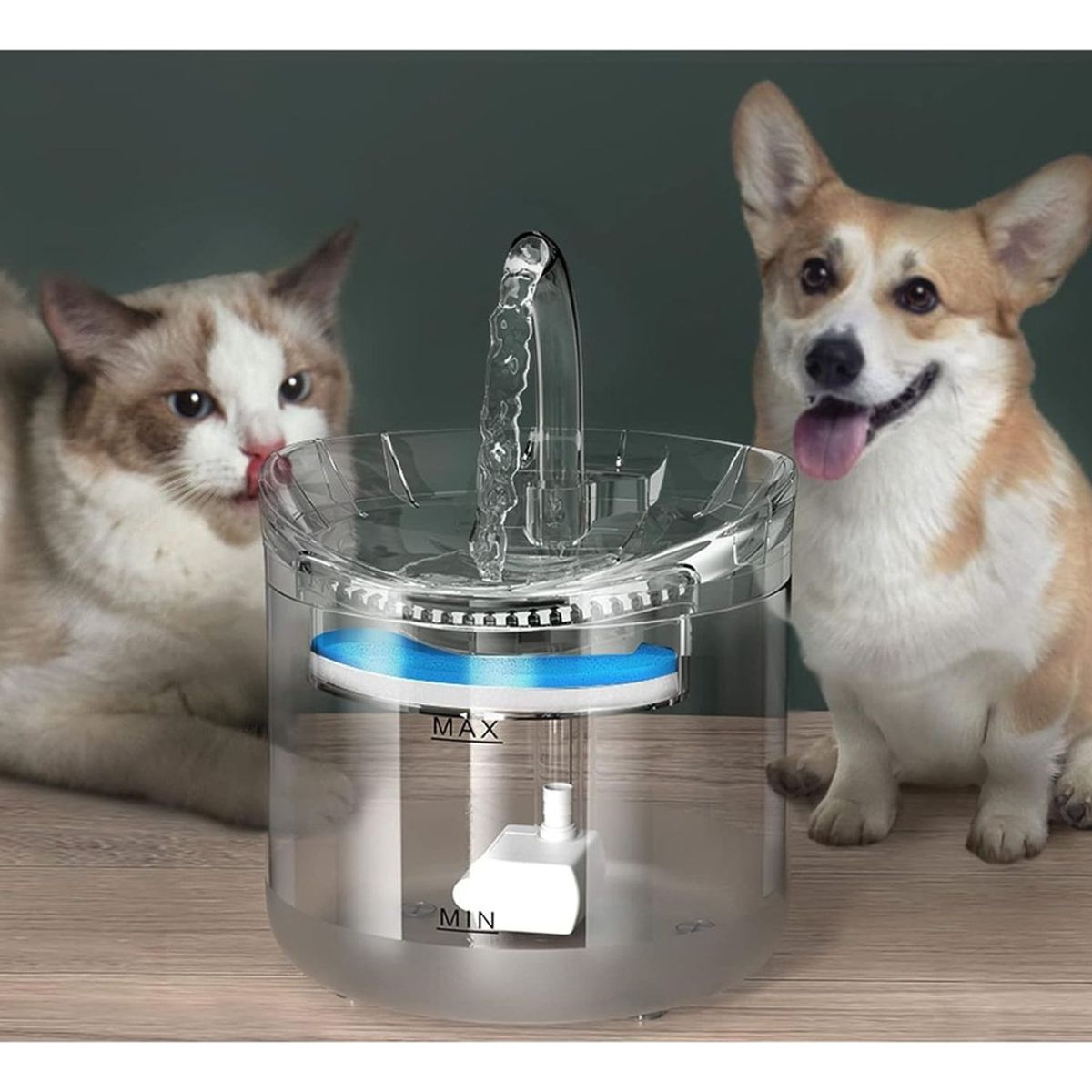VIDA BUENAS - Fuente Para Gato Bebedero Para Mascotas Color Trasparen