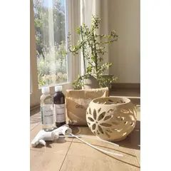 GENERICO - Macetero para orquídeas GRANDES Linea Flo color BEIGE + Abono + Enraizante