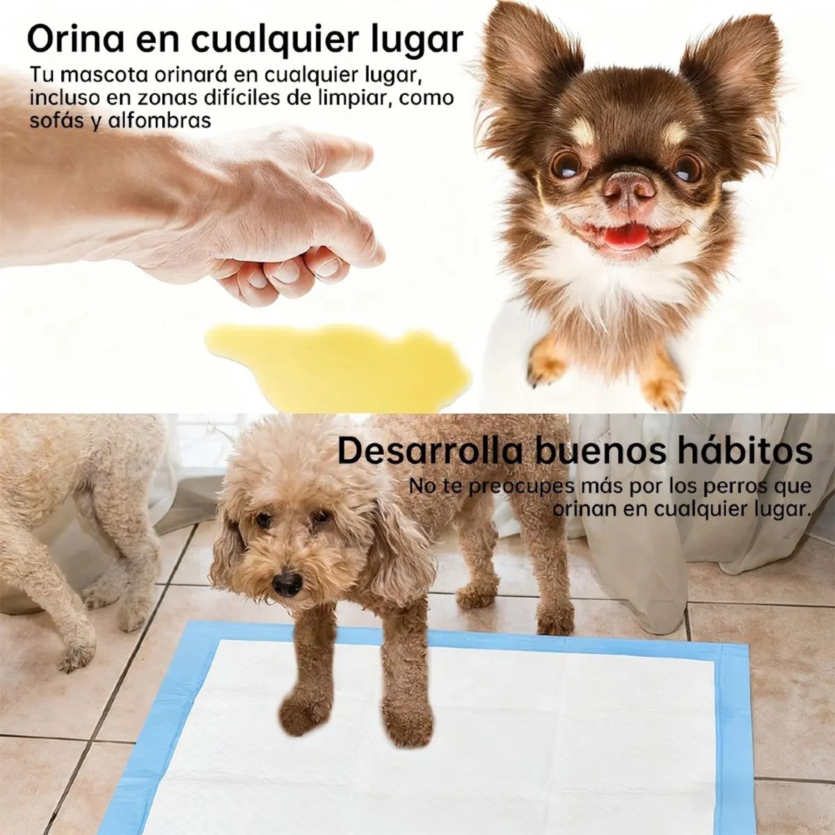 IRM - Pañales 100 Tipo Sabanillas Mascotas Perros 60x60 Ultra Absorbentes Premium FIGOIMPORT