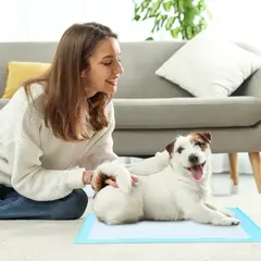 IRM - Sabanillas Perros 60x60 Pack 100 Unidades Almohadillas Absorbentes Entrenamiento FIGOIMPORT