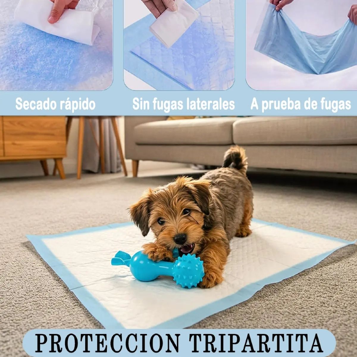 IRM - Sabanillas Perros 60x60 Pack 100 Unidades Almohadillas Absorbentes Entrenamiento FIGOIMPORT