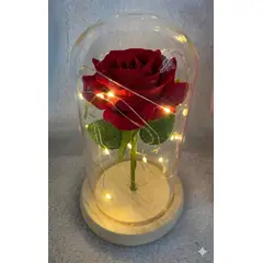 GENERICO - Rosa Eterna en Cúpula de Cristal con Luces LED
