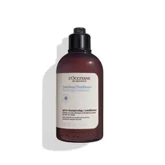 LOCCITANE - Acondicionador Frescura y Pureza 250 ml
