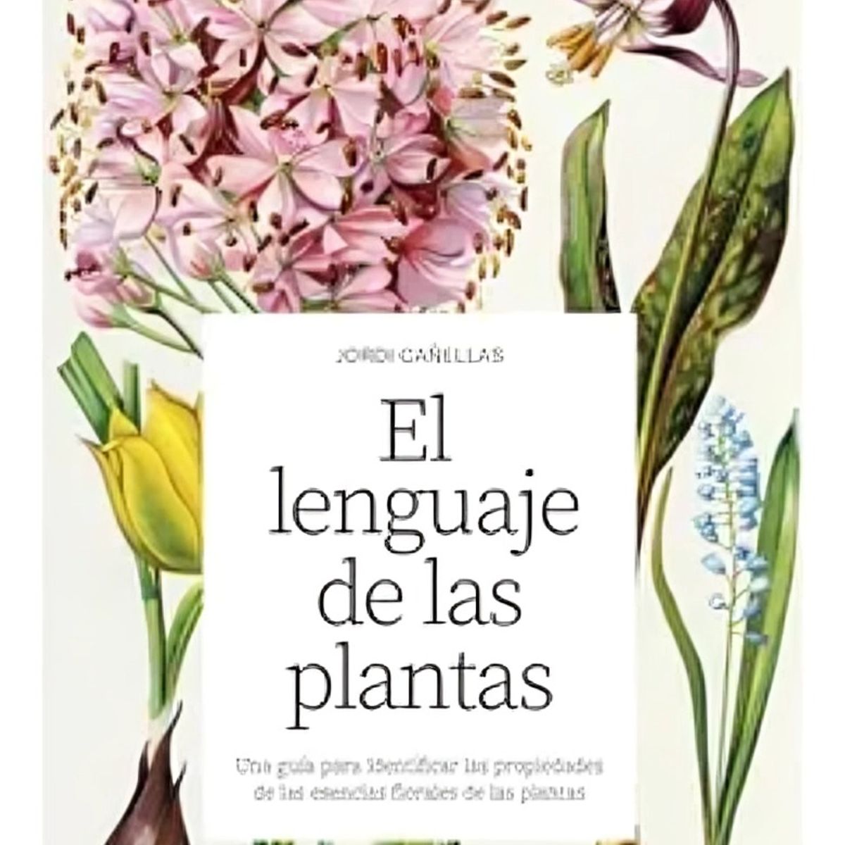 TOP10BOOKS - LIBRO El Lenguaje De Las Plantas - Jordi Cañellas Puiggros