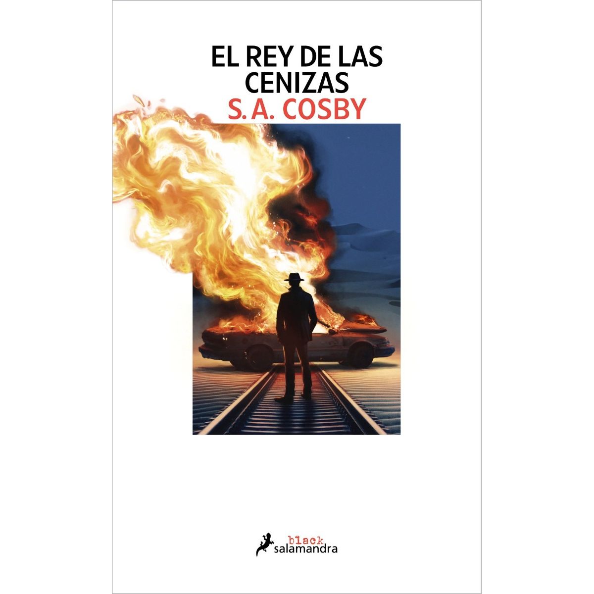 TOP10BOOKS - LIBRO El Rey De Las Cenizas - SHAWN A. COSBY