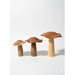 DISEÑO 3 - SET HONGOS