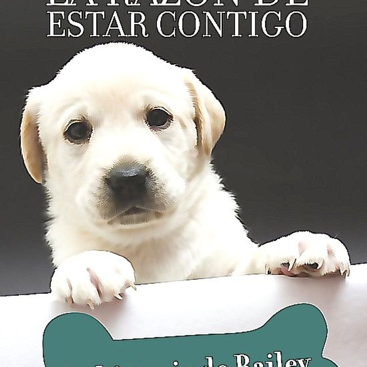 ROCA EDITORIAL - Libro La Razón De Estar Contigo - W. Bruce Cameron