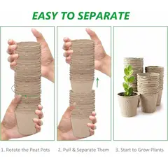 GENERICO - 50 Macetero Biodegradable 6x6cm Para Cultivo Con 50 Etiqueta