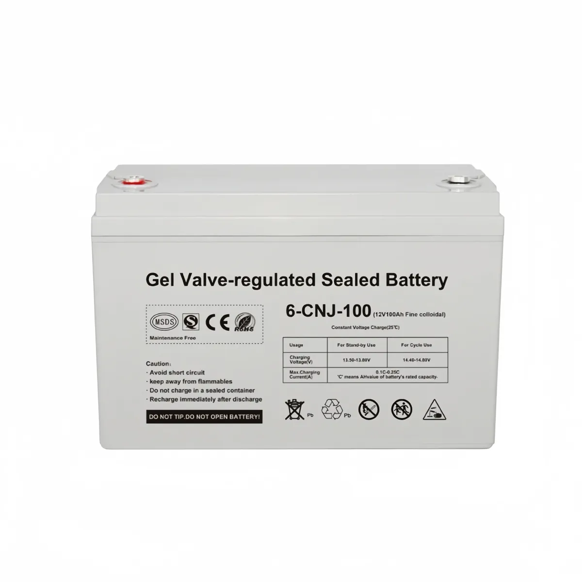 VIDA BUENAS - Bateria Ciclo Profundo 12v 100 Amp Baterias Para Panel Solar