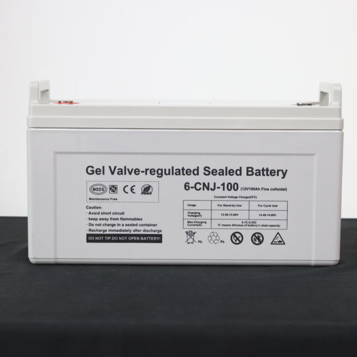 VIDA BUENAS - Bateria Ciclo Profundo 12v 100 Amp Baterias Para Panel Solar