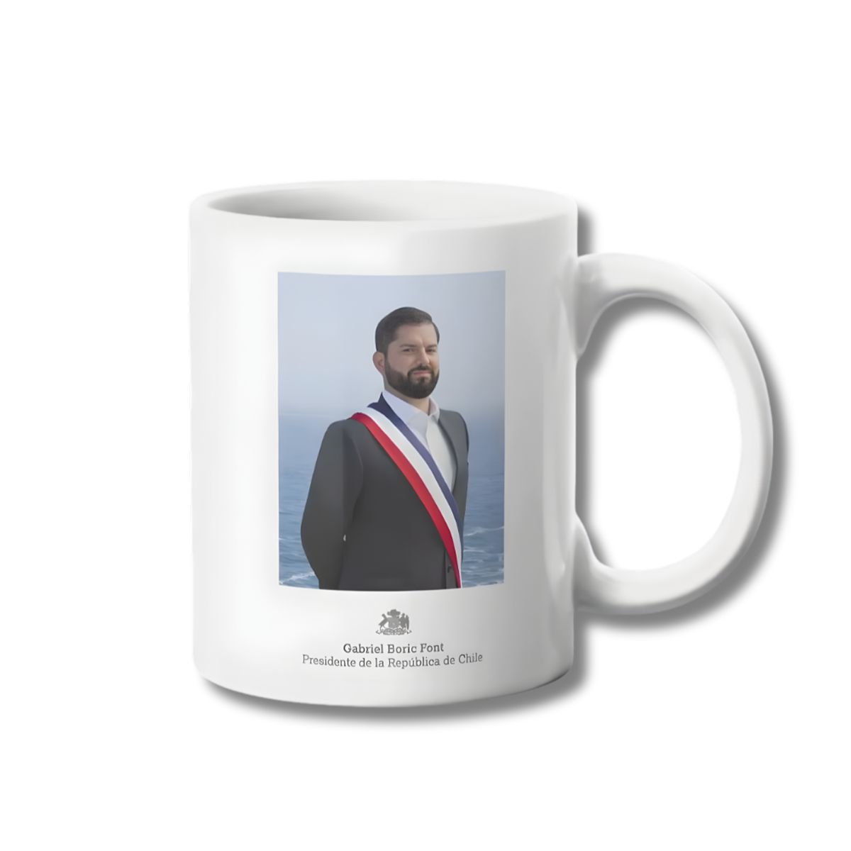 GENERICO - Tazon Presidente de Chile Gabriel Boric Taza Sublimada 325ml