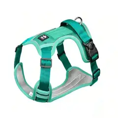 GENERICO - Arnés Pechera Reflectante Para Perros Con Correa Color Verde Talla del arnés XL BELUG