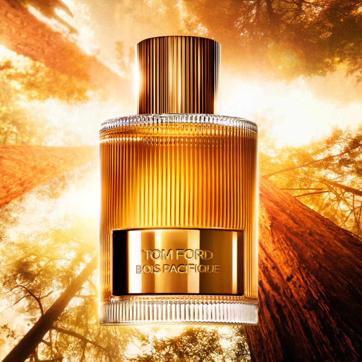 TOM FORD - Tom Ford Bois Pacifique Edp 100ml Hombre