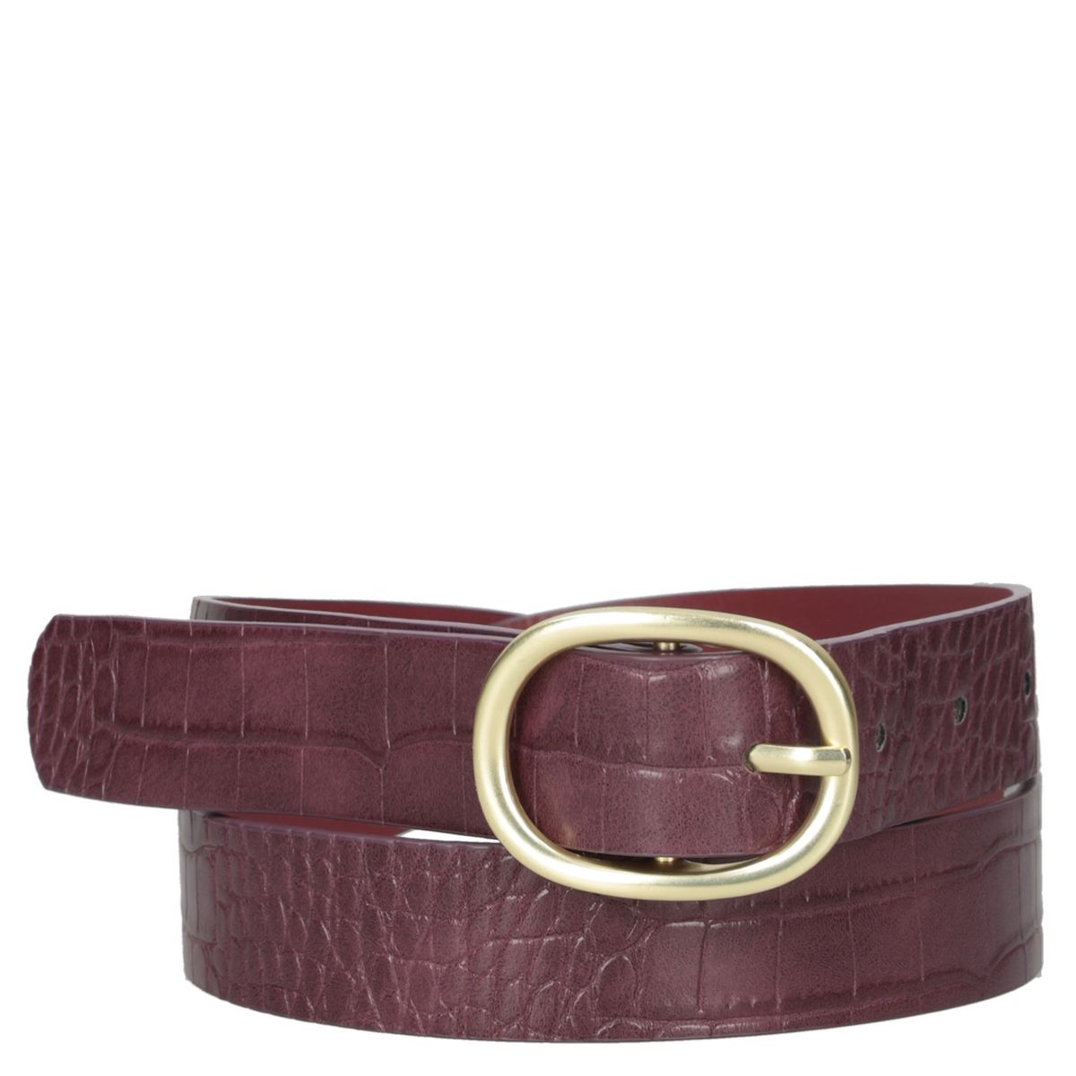 POLLINI - Cinturon Mujer Croco Marrón oscuro Pollini