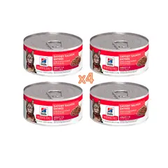 HILLS - X4 Science Diet Lata Adult Savory Salmon Entrée 156g