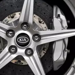 GENERICO - Set X4 Tapas centro de Llantas de autos 56mm universal kia negro con plata
