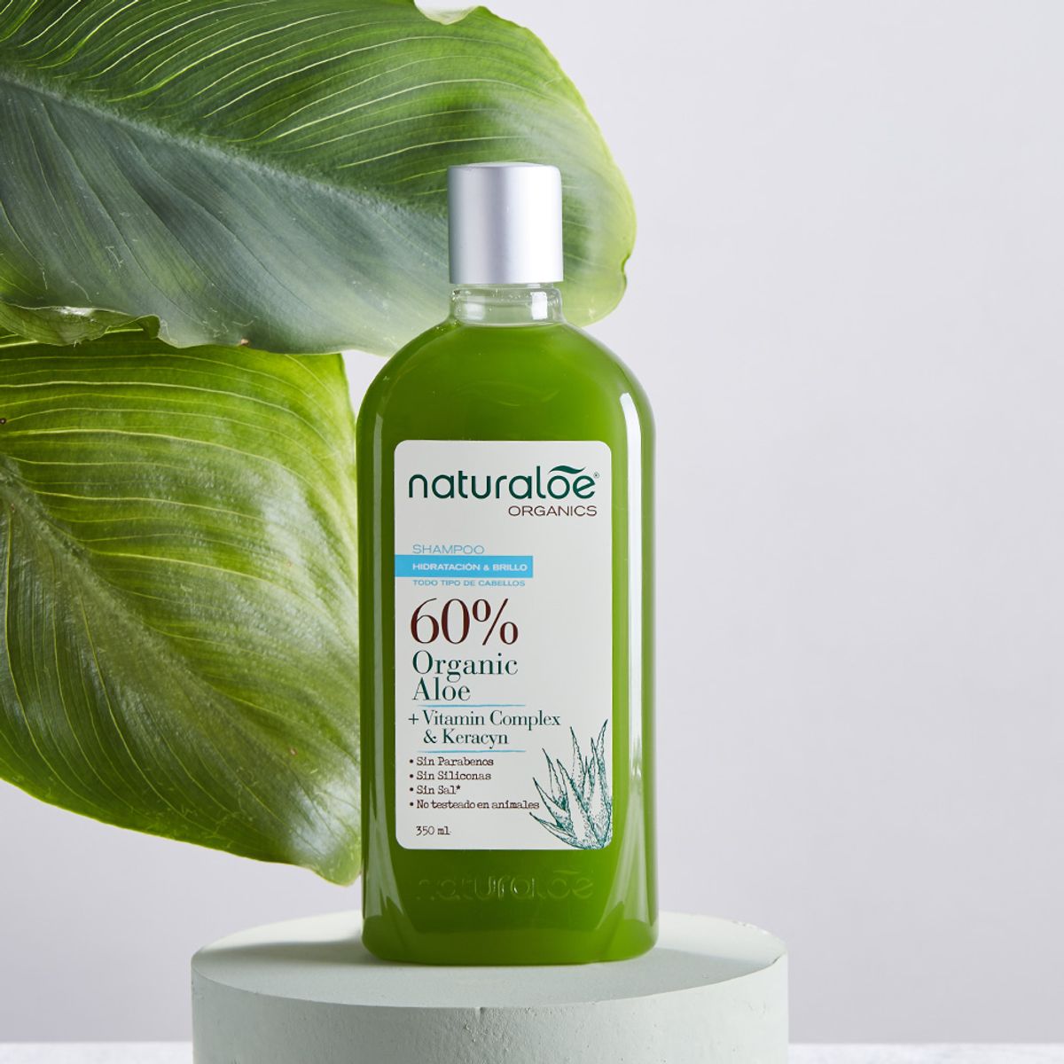 NATURALOE - Shampoo Naturaloe Hidratación Y Brillo 350ml