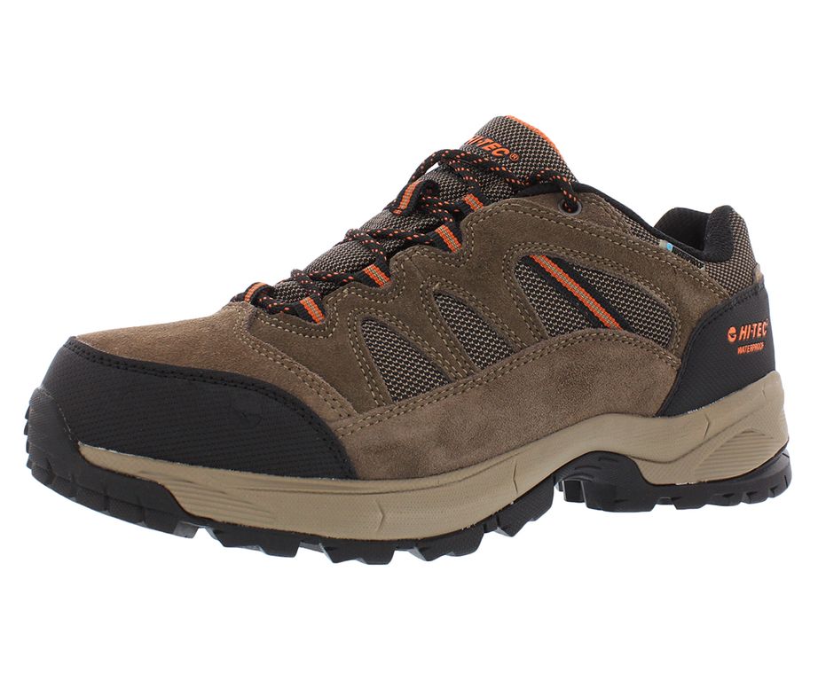 Zapatillas Ridge Low Wp