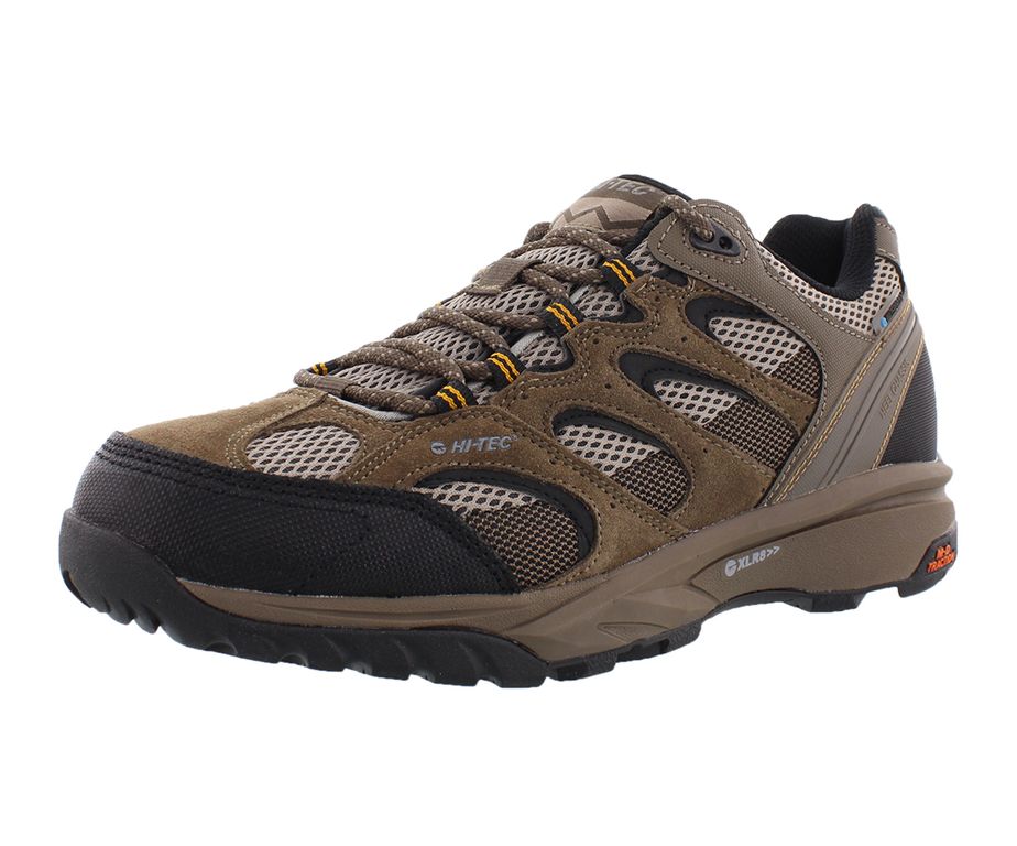Zapatillas Trail Blazer Low Wp