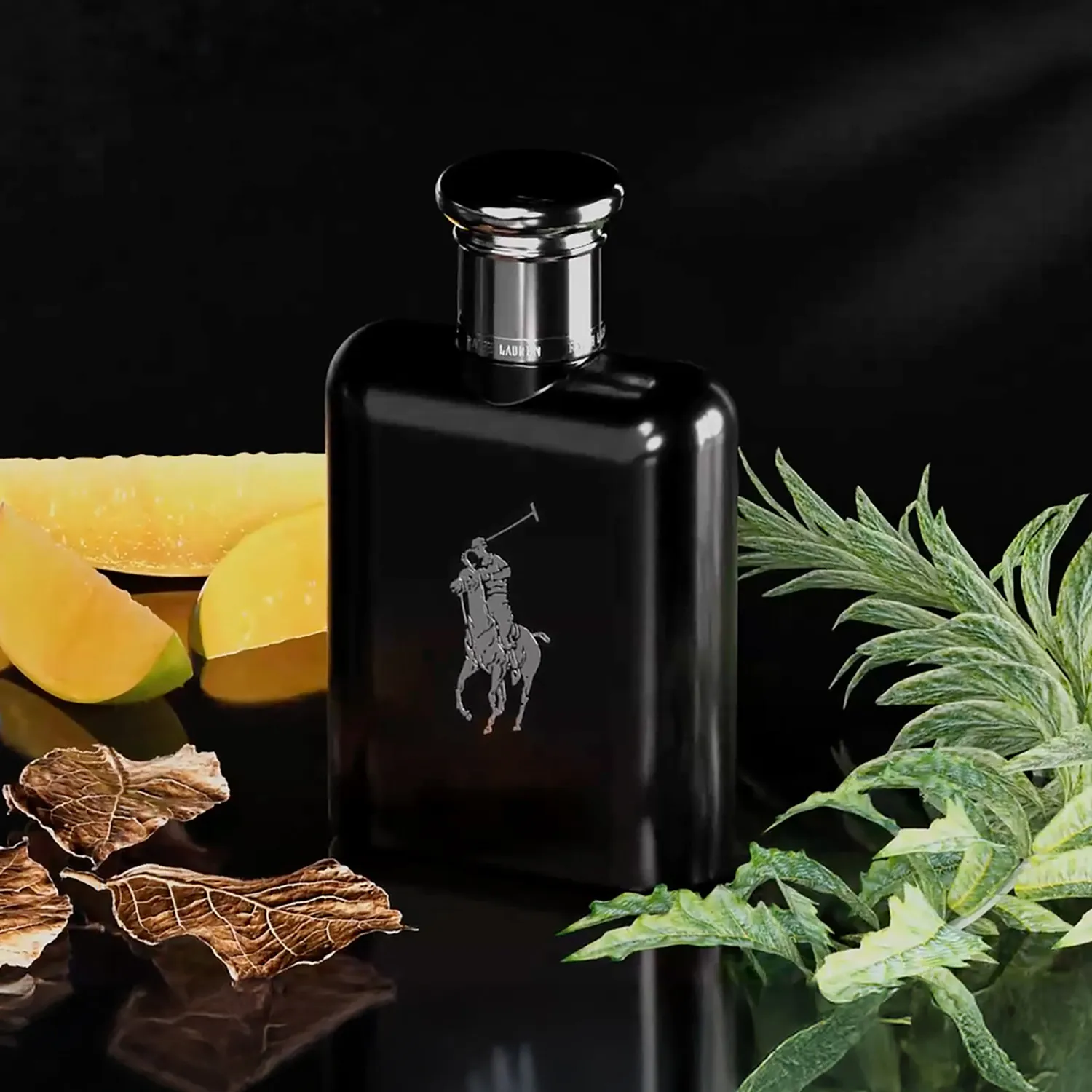 RALPH LAUREN Perfume Hombre Polo Black EDT 75ml Ralph Lauren