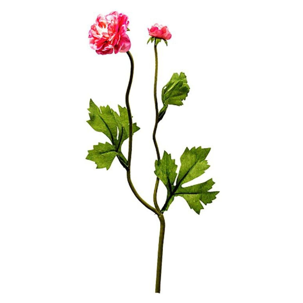 THE GARDEN - Ranunculo Doble Dk Pink 38 Cm