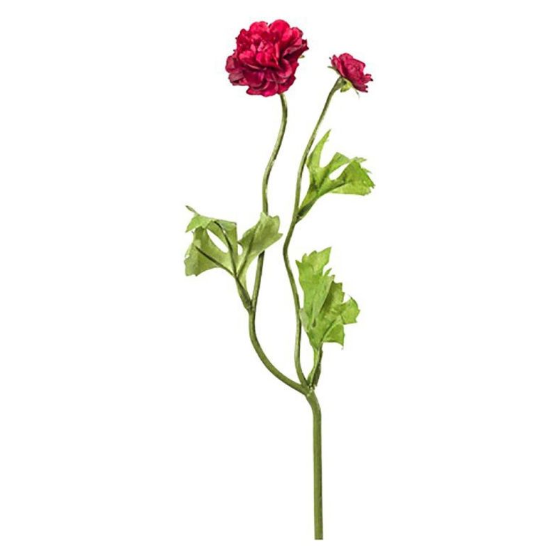 THE GARDEN - Ranunculo Doble Burgundy 38 Cm