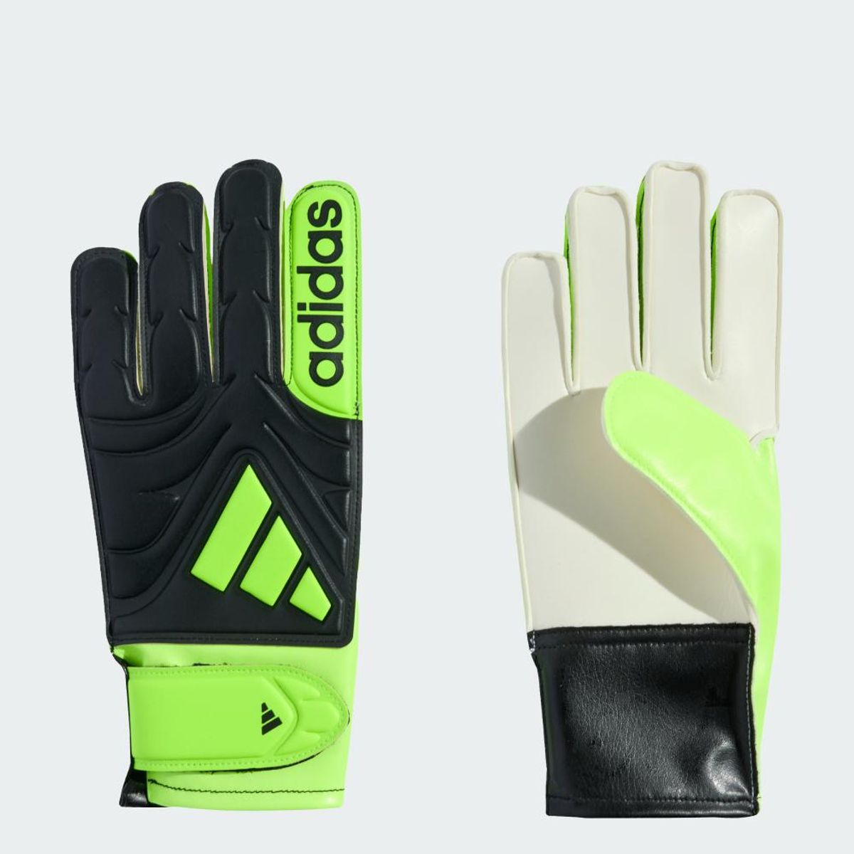 ADIDAS - Guantes De Arquero Copa Club Niños Adidas
