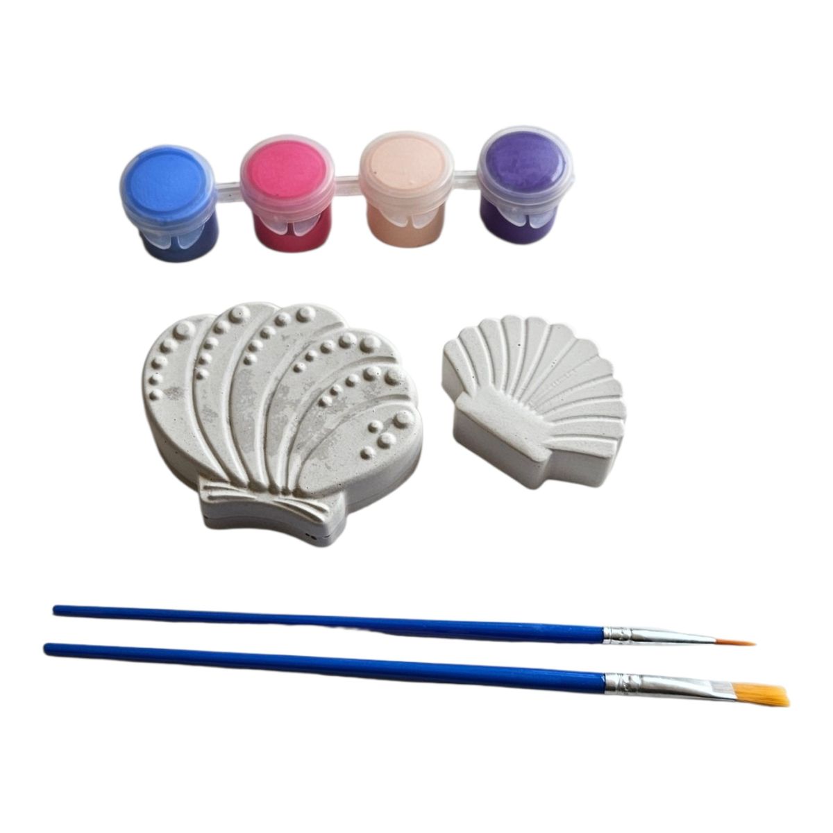 CREA TALLER - Pack de 5 kits creativo para pintar. CONCHITAS DE MAR
