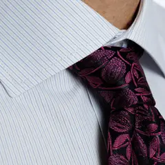 VANDINE - Camisa Hombre Azul Listada Red Label I26 3.0