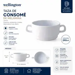 DANIEL WELLINGTON - Taza De Consomé Melamina Apilable 290cc Wellington X6