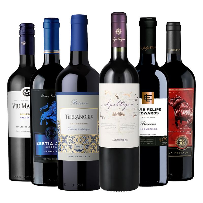 GENERICO - 6 vinos Mix Reserva Carmenere