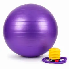 HOMESTAR - Pelota de ejercicio pilates yoga morada de 55 cm con inflador manual