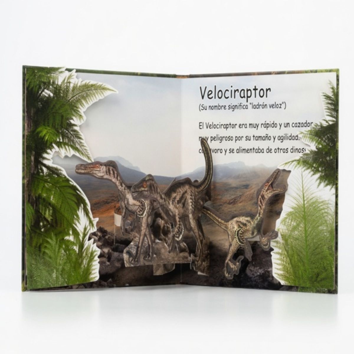 DISCOS A&D - Dinosaurios  Mi primer pop up Libro infantil