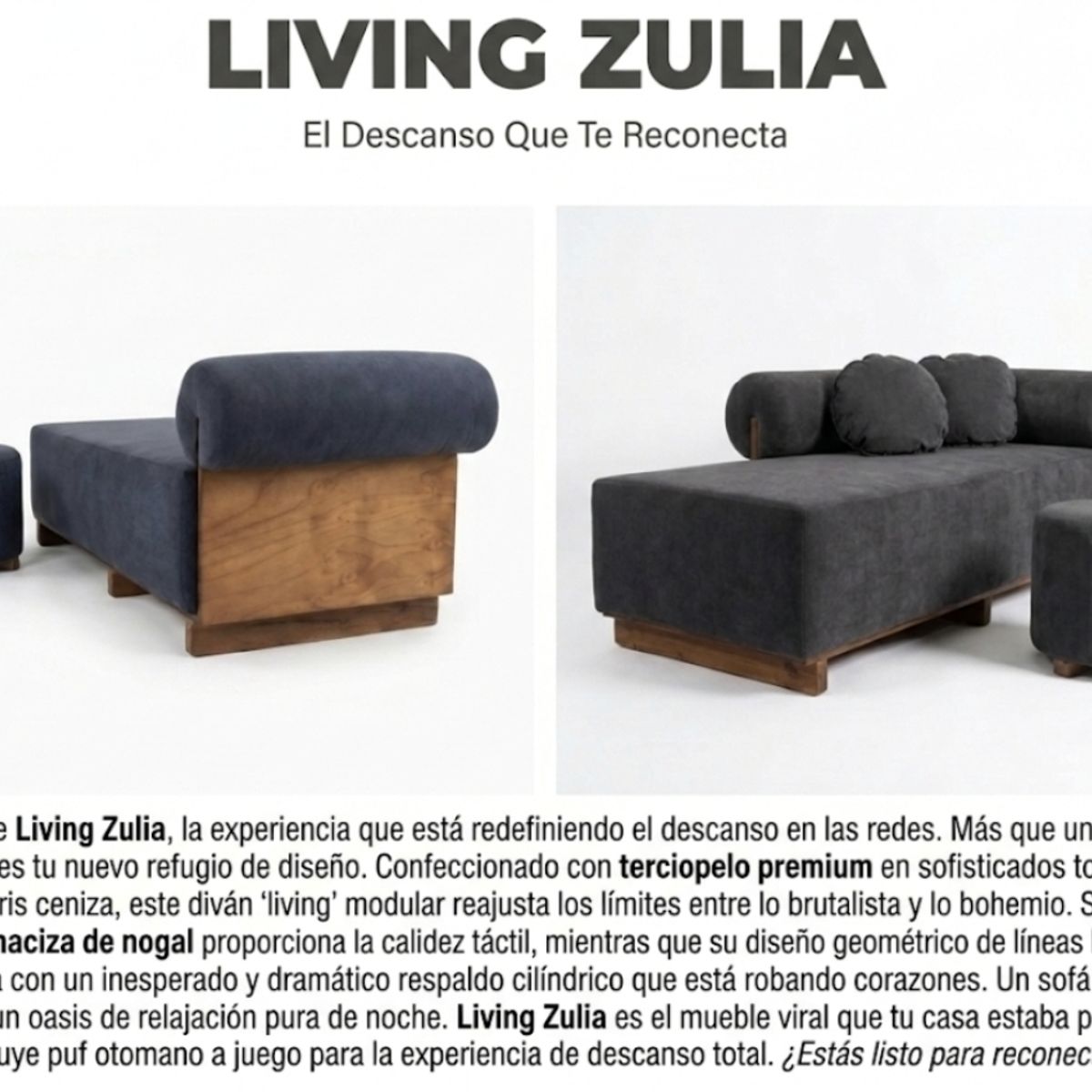 GENERICO - Living Zulia premiun color gris