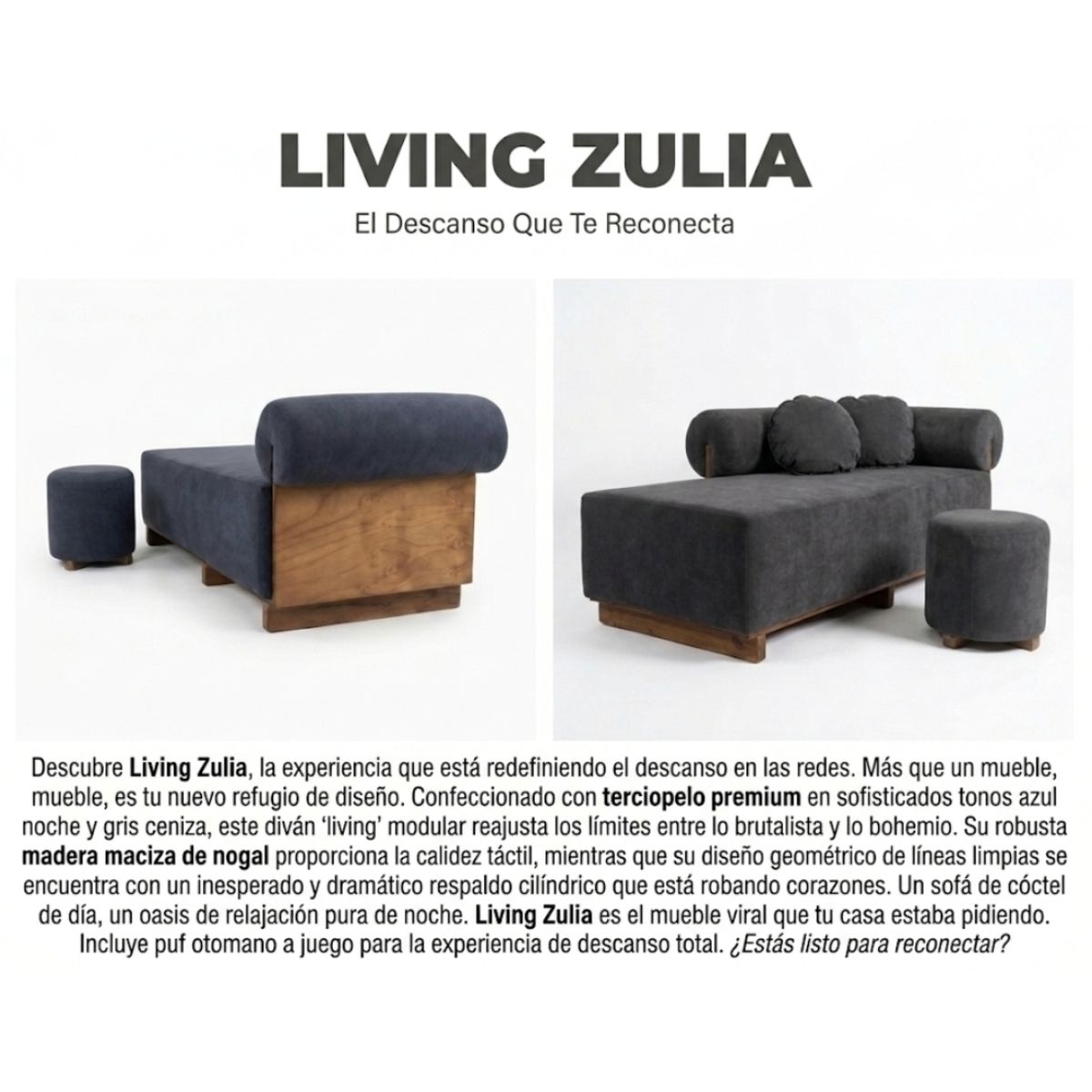 GENERICO - Living Zulia premiun color gris