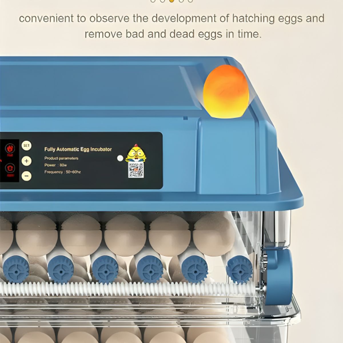 GENERICO - Incubadora 50w Digital Automática 36 Huevos