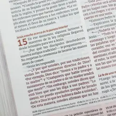 TYNDALE HOUSE PUBLISHERS - Biblia de estudio del diario vivir para jóvenes NTV con Filament Tapa dura, Verde