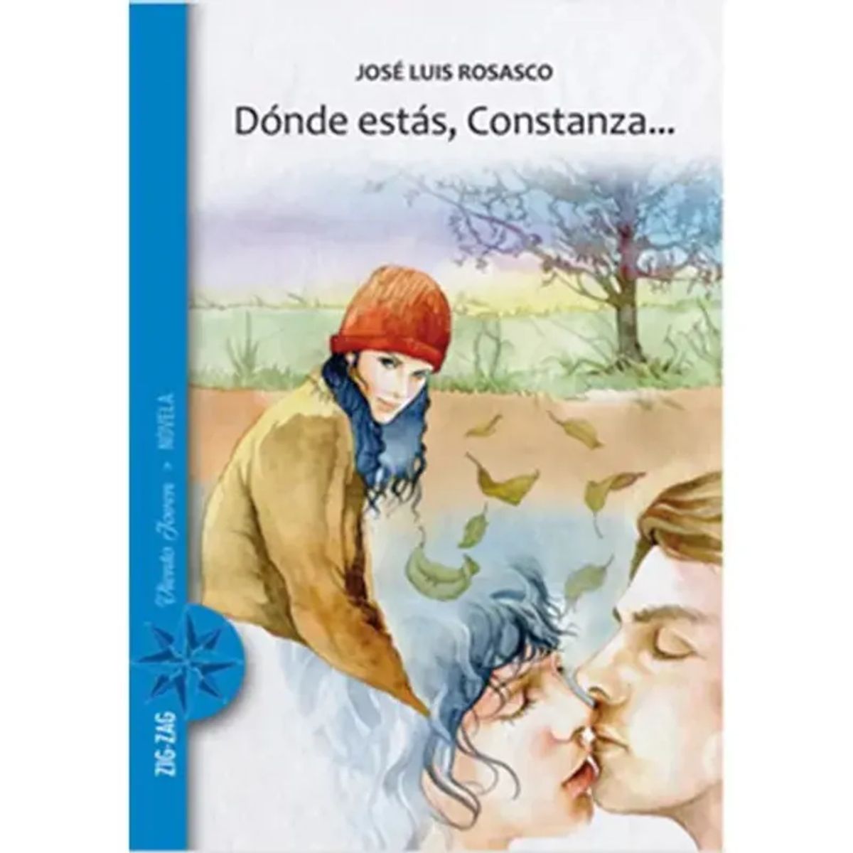 ZIG ZAG - Dónde Estás, Constanza, De Rosasco, Jose Luis. Editorial Zig-zag, Tapa Blanda En Español