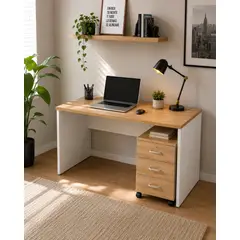 COSAS CASA - Escritorio de Oficina Mesa de Trabajo Con Cajonera