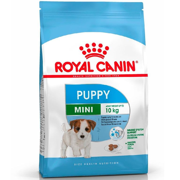 Mini Puppy Perro 7.5 kg