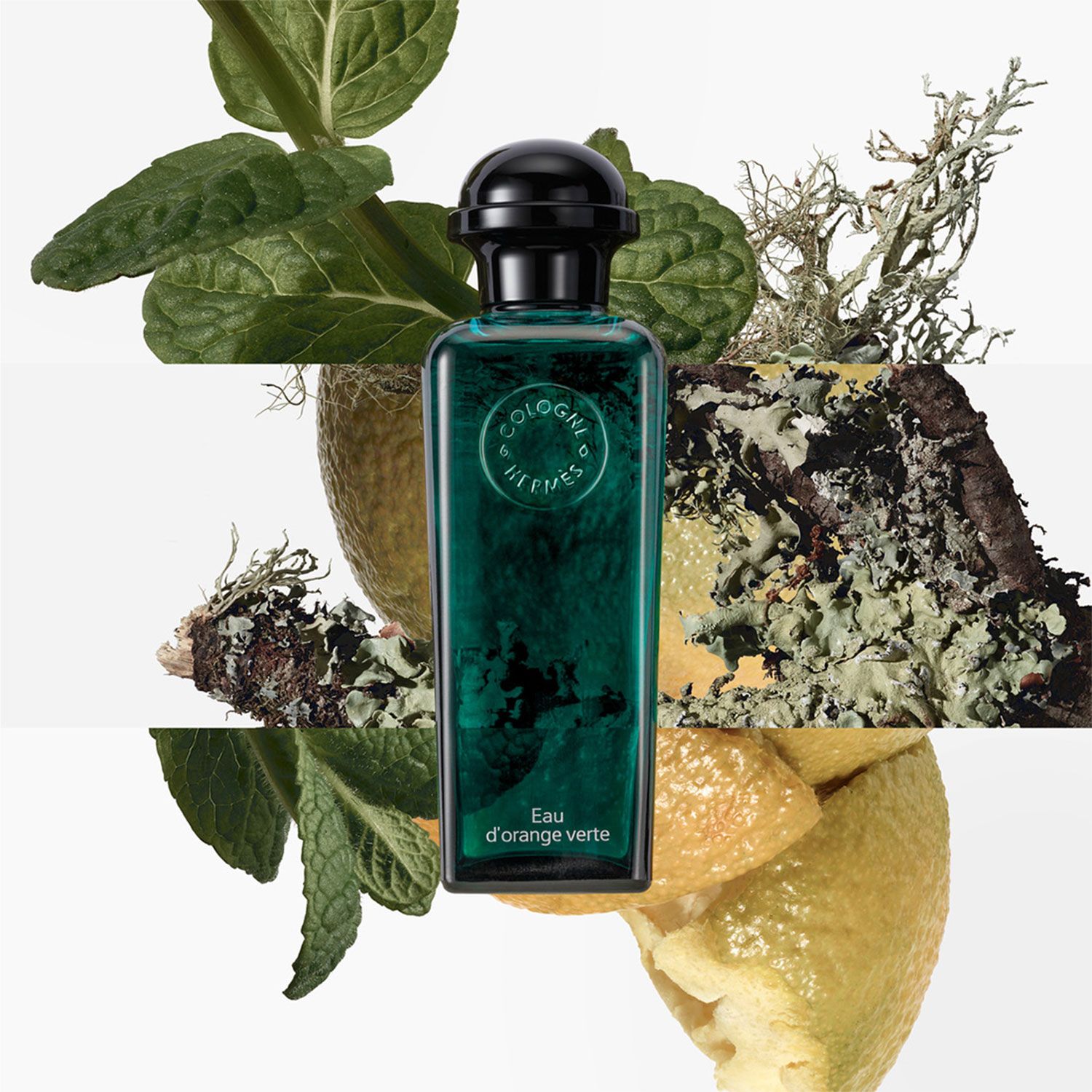 香水(ユニセックス) HERMES Eau d'orange verte 100ml HERMES Perfume Unisex Eau D'orange Verte Cologne 100 Ml Hermès