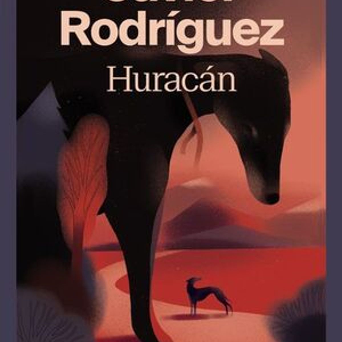 ADN - HURACAN