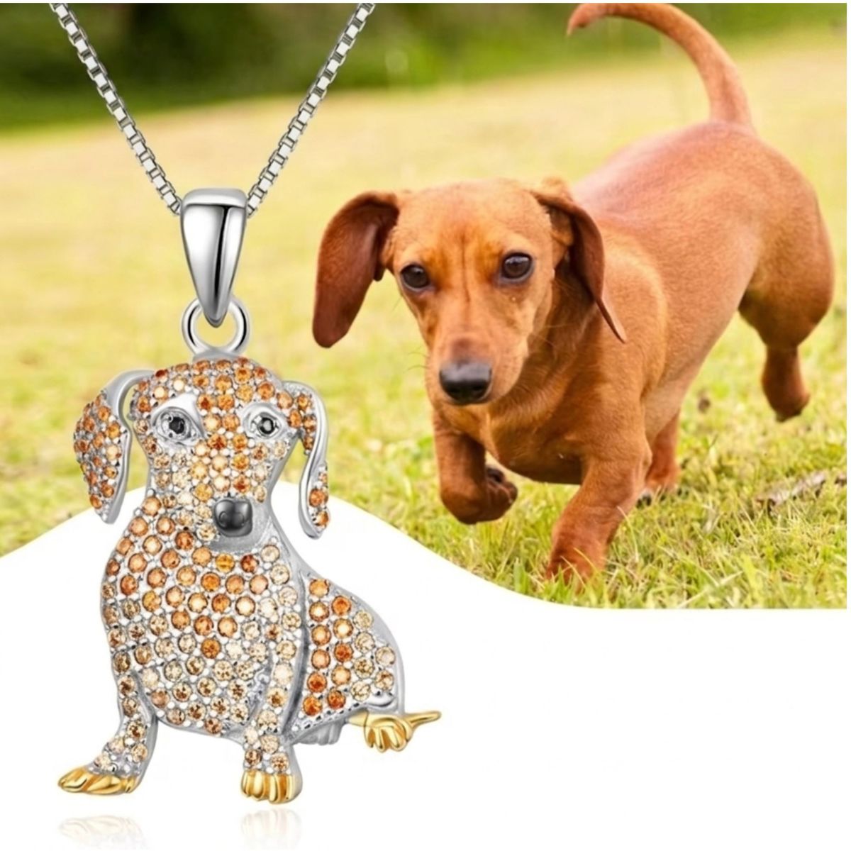 GENERICO - Collar y dige fantasia raza dachshund