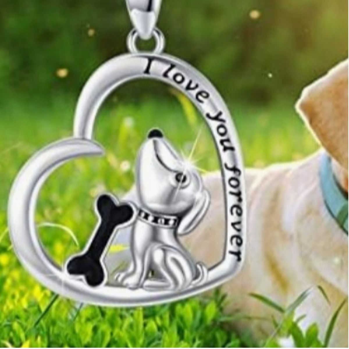 GENERICO - Collar y dige fantasia dog in my heart