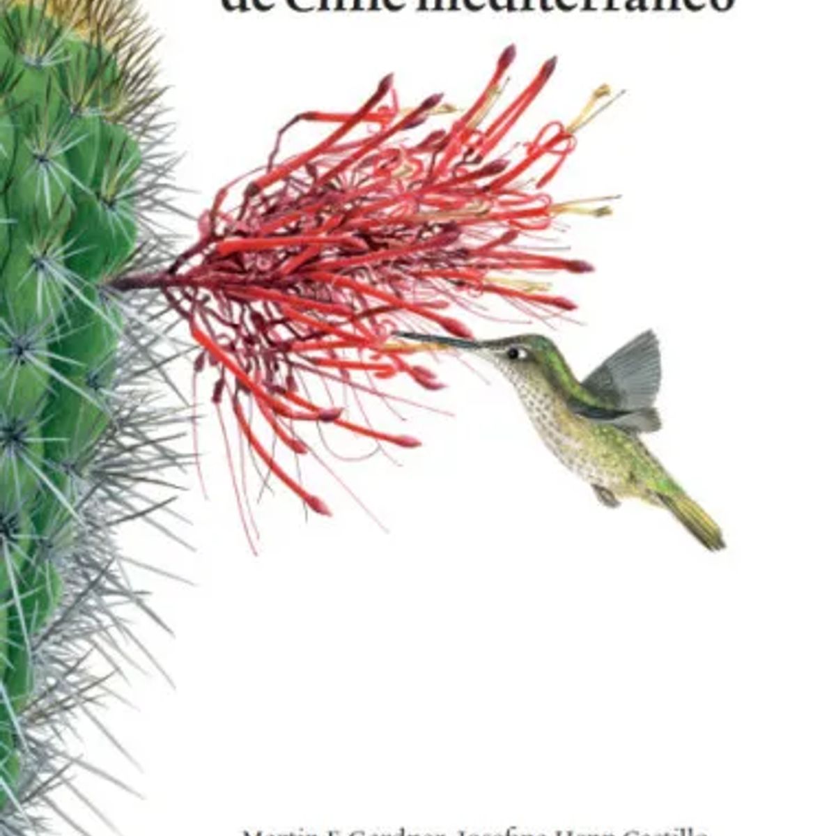 DEBATE - PLANTAS ENDEMICAS DE CHILE MEDITERRANEO TD