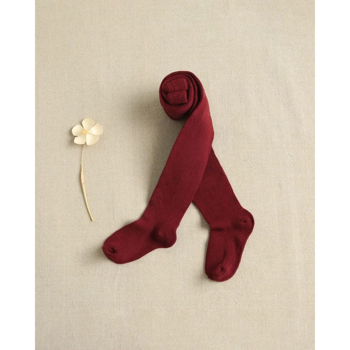 DADATI - Leotardo - panty liso bebé niña color granate