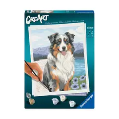 RAVENSBURGER - Canvas pinta por número: Pastor Australiano Merlin