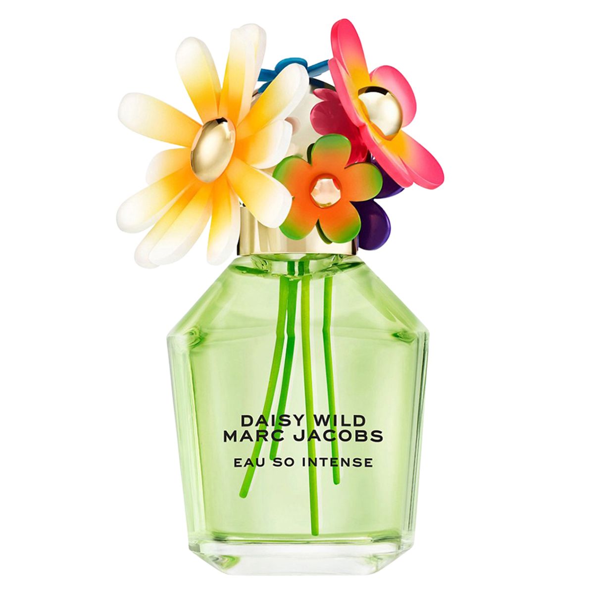 MARC JACOBS - Perfume Daisy Wild Eau So Intense Eau de Parfum - 100ml Marc Jacobs