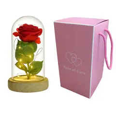GENERICO - Cubula rosa - Accesorio de Alta Calidad