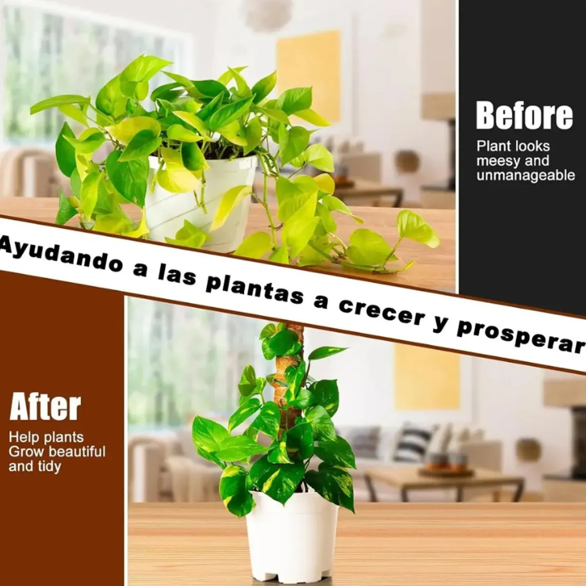 GENERICO - 21 Kits Tutor De Musgo Soporte Para Plantas 100cm/fibra Coco